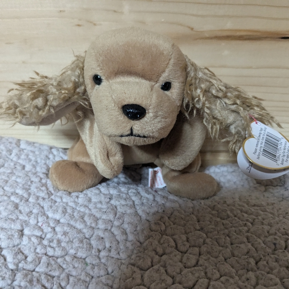 Ty Beanie Baby Spunky puppy dog, cocker spaniel, collectible plush toy
